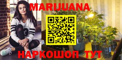 стаф Долгопрудный